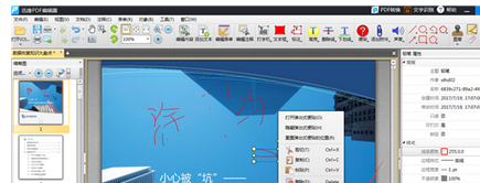 迅捷pdf編輯器為PDF文件進行涂鴉的操作方法截圖