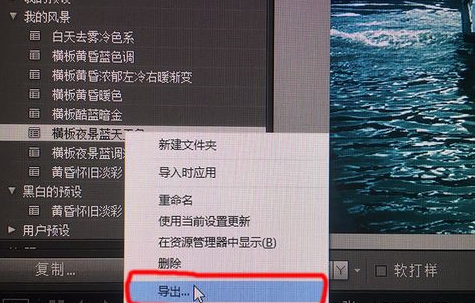 Lightroom導(dǎo)出保存預(yù)設(shè)的操作步驟截圖