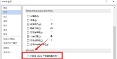 word2013打印不了圖片的處理教程截圖