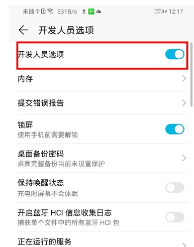 榮耀20青春版中打開(kāi)開(kāi)發(fā)者選項(xiàng)的操作教程截圖