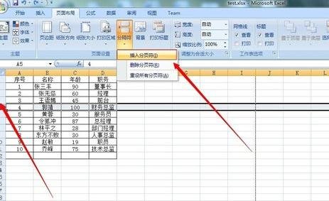 excel2007設置分頁符的詳細操作教程截圖