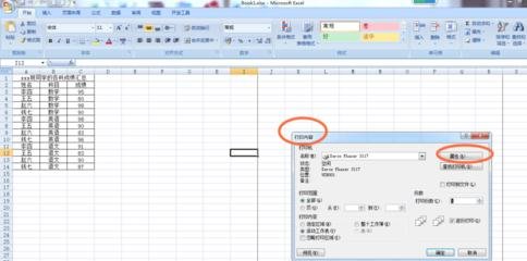 excel2007打印奇數(shù)頁(yè)的操作方法截圖