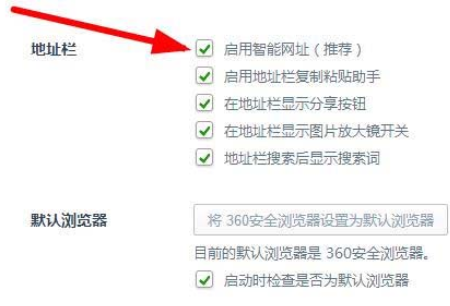360瀏覽器啟用智能網(wǎng)址的操作教程截圖