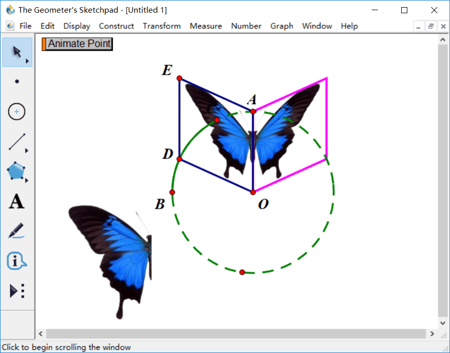 幾何畫板做出蝴蝶動(dòng)畫的詳細(xì)過程截圖