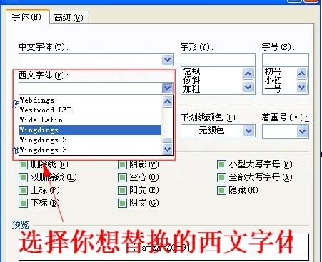 word2010修改所有字母和數(shù)字格式的操作步驟截圖