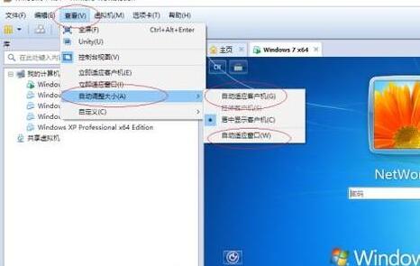 VMware設(shè)置窗口大小的操作步驟截圖